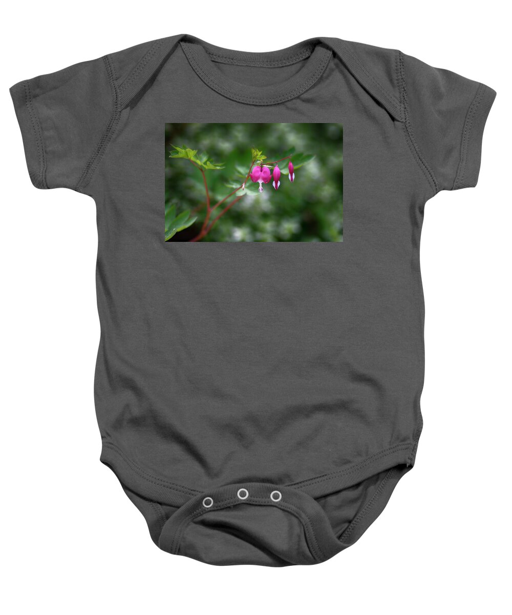  Baby Onesie featuring the photograph Bleeding Hearts by Dan Hefle