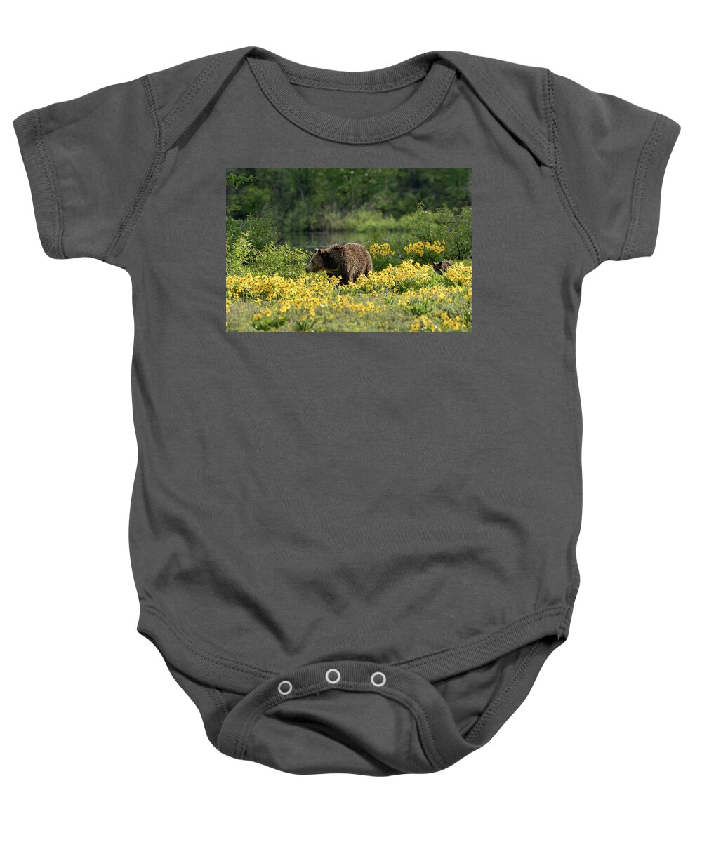 Bears Baby Onesie featuring the photograph Blondie by Ronnie And Frances Howard