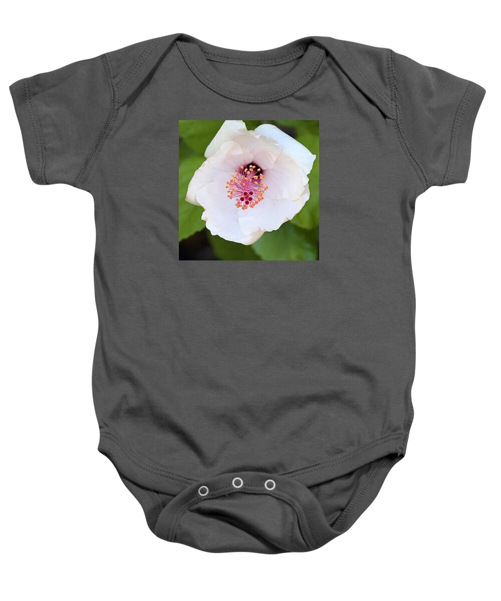 Blossom Baby Onesie featuring the photograph Bloom by George Taylor