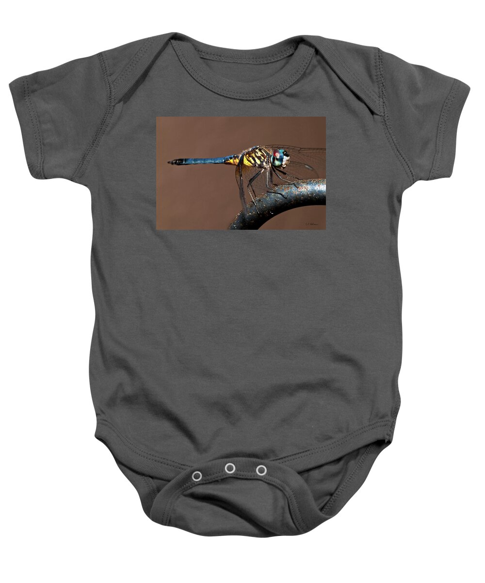 Dragonfly Baby Onesie featuring the photograph Blue and Gold Dragonfly by Christopher Holmes
