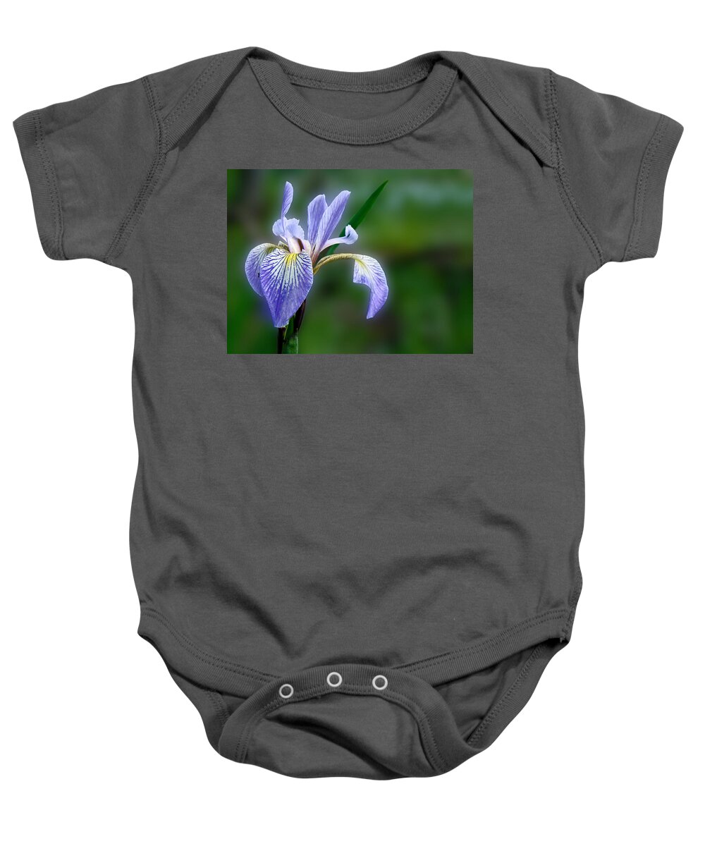 Iris Baby Onesie featuring the photograph Blue Flag Wildflower - Iris versicolor by Carol Senske