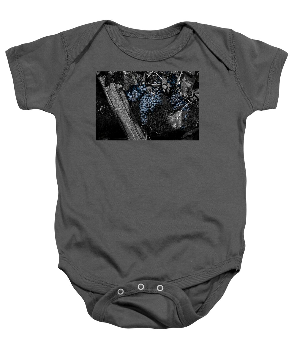 Composite Baby Onesie featuring the photograph Blue Grapes 2 by Wolfgang Stocker