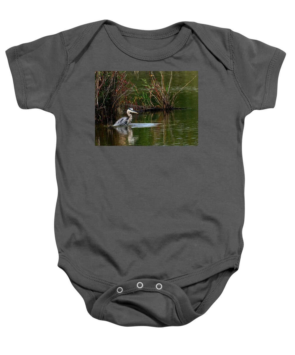 Ardea Herodias Baby Onesie featuring the photograph Blue Heron Pond by Patrick Wolf
