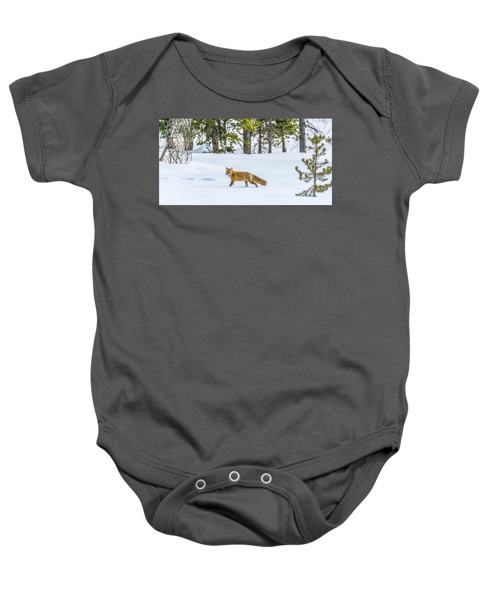 Running Baby Onesie featuring the photograph Born To Run by Yeates Photography