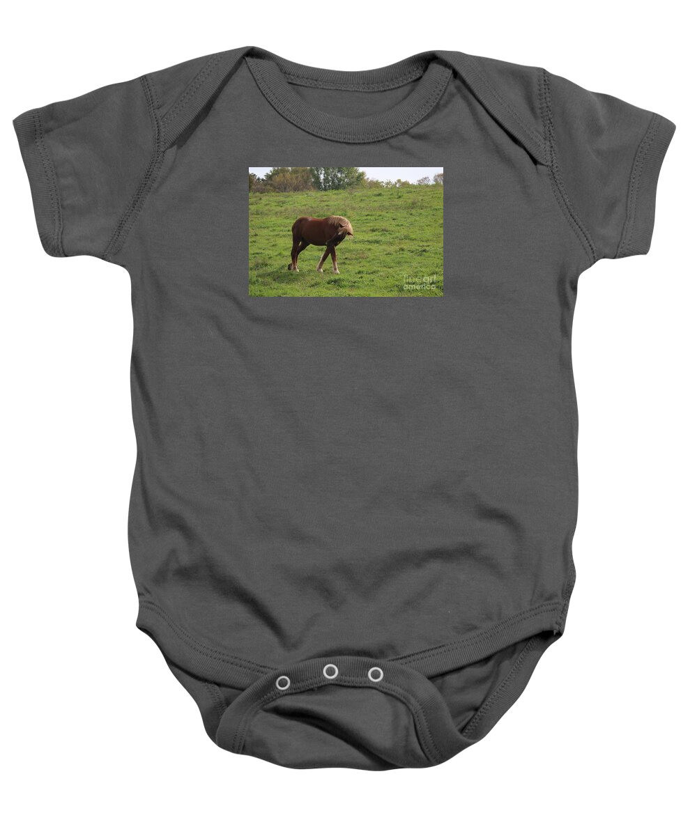 Horse Baby Onesie featuring the photograph Bow by Yumi Johnson