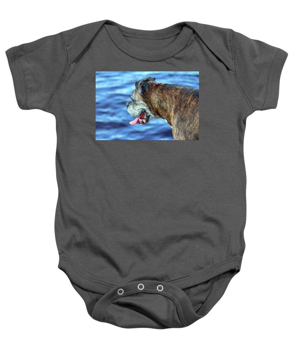 Boxer Baby Onesie featuring the photograph Boxer On A Summer Day by Cynthia Guinn
