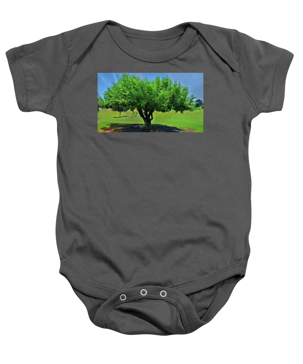 Tree Baby Onesie featuring the photograph Branching Out by Dani McEvoy