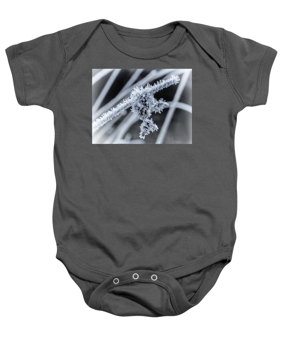 Ice Baby Onesie featuring the photograph Briefly Beautiful by Nick Bywater