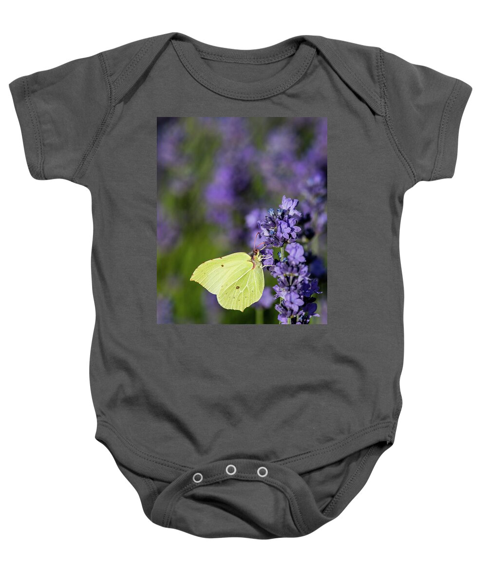 Brimstone Baby Onesie featuring the photograph Brimstone butterfly and the lavender by Torbjorn Swenelius