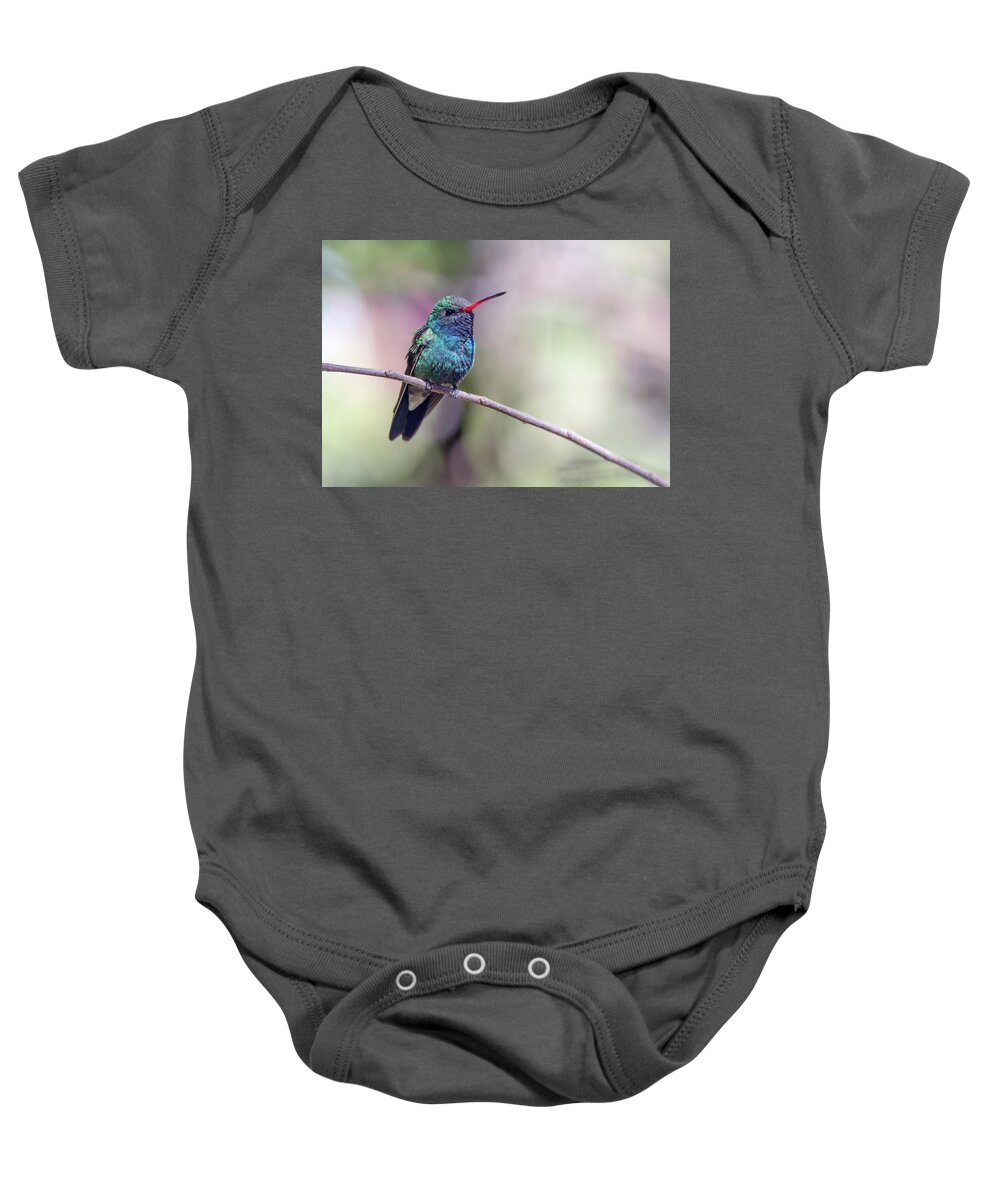 Broad-billed Baby Onesie featuring the photograph Broad-billed Hummingbird 2008-031718-1cr by Tam Ryan