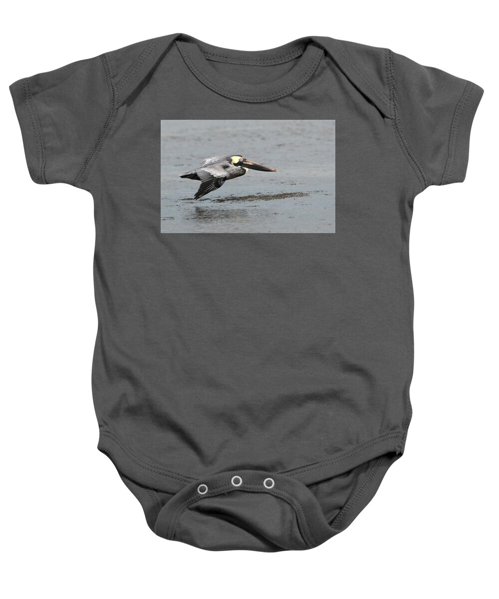Brown Baby Onesie featuring the photograph Brown Pelican in flight by Jack Nevitt