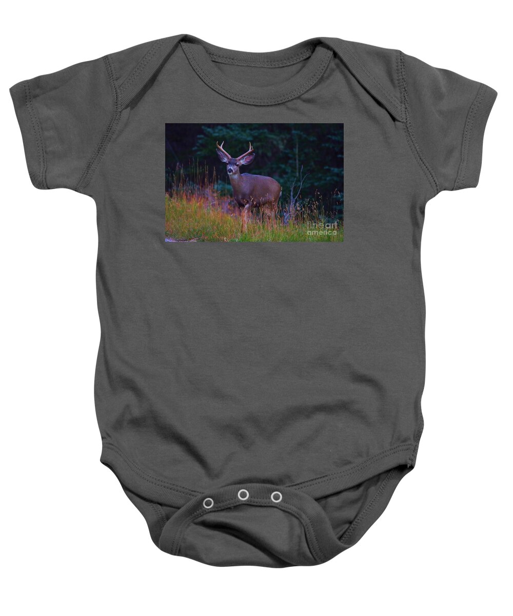 Deer Baby Onesie featuring the photograph Buck deer in the woods by Jeff Swan