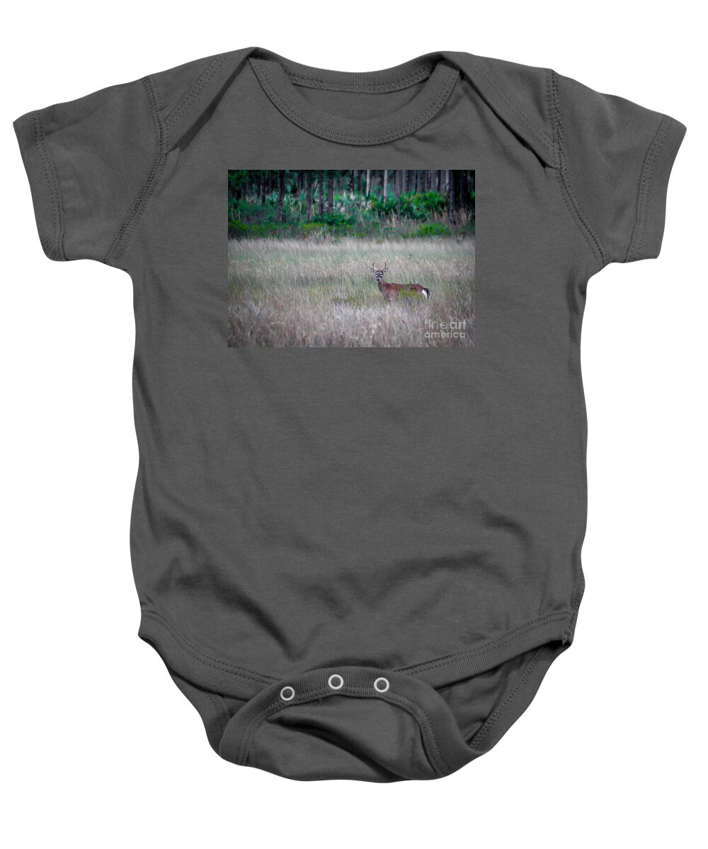Buck Baby Onesie featuring the photograph Buck in Grass by Tom Claud