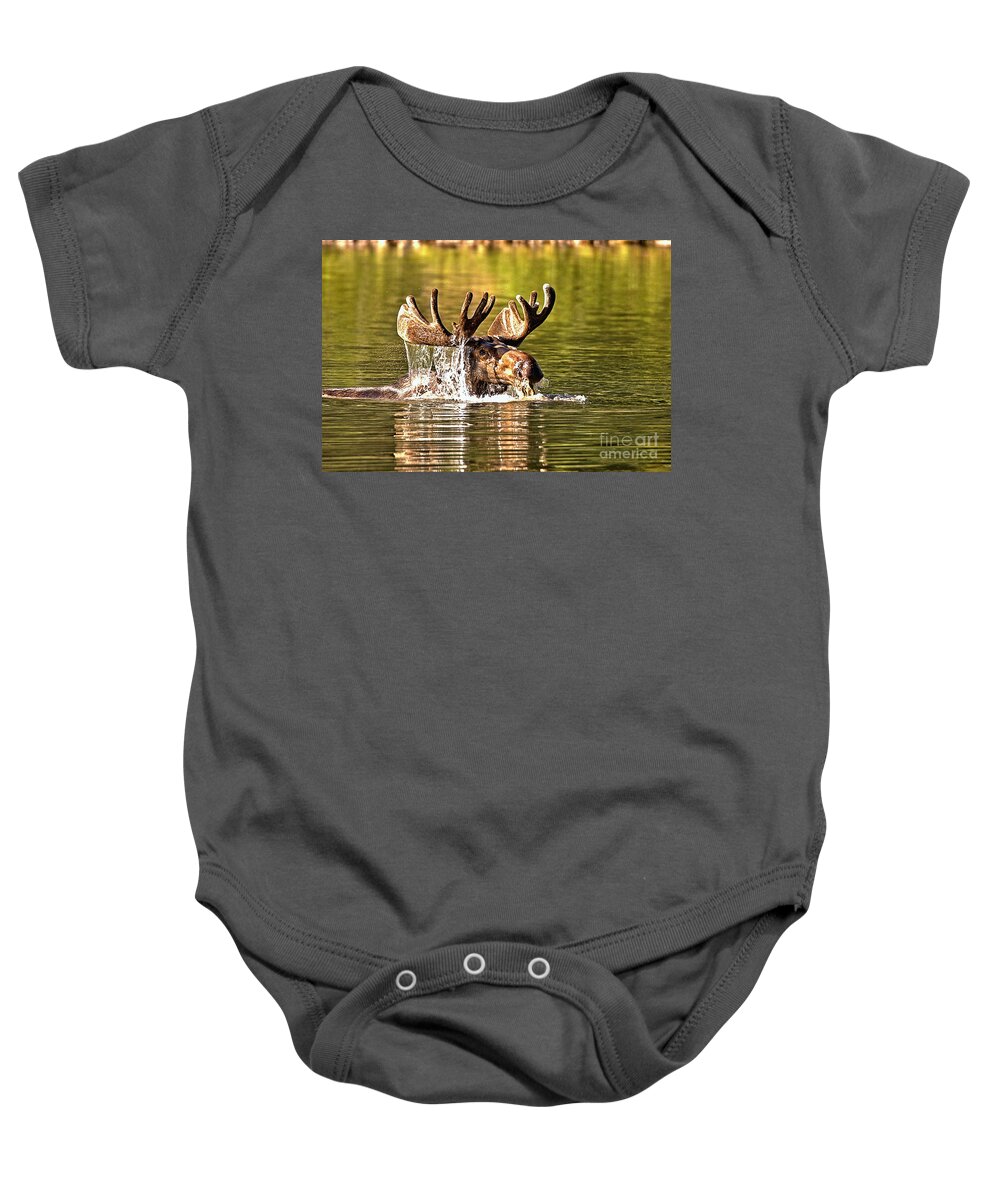Moose Baby Onesie featuring the photograph Bull Moose Mouthful by Adam Jewell