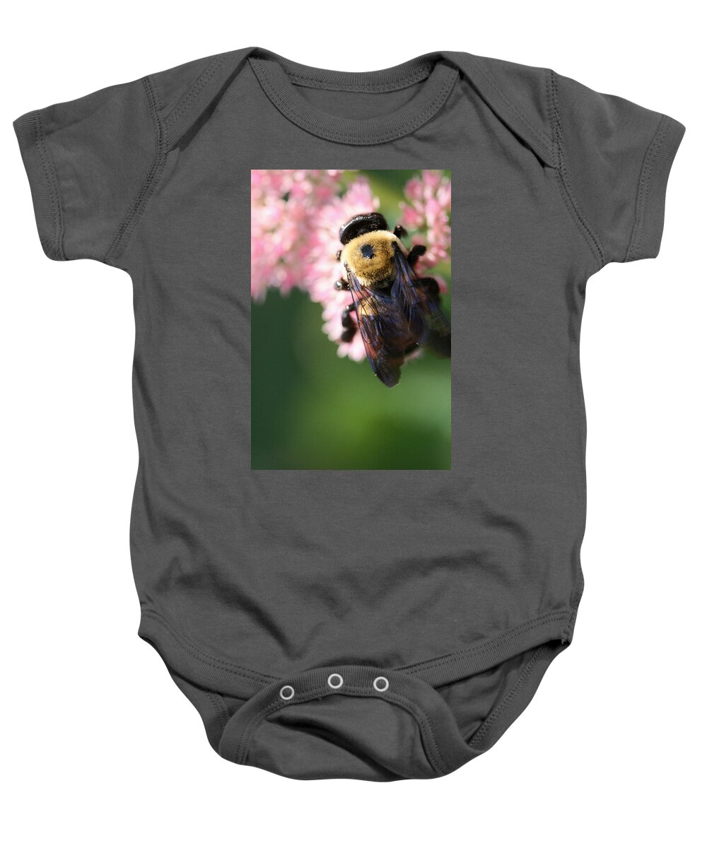 Bee Baby Onesie featuring the photograph Bumble from Above by Angela Rath