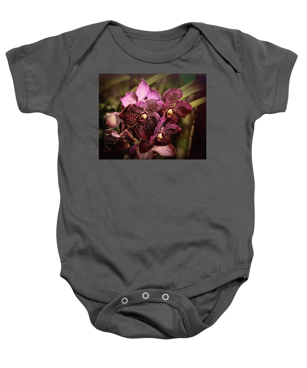 Orchids Baby Onesie featuring the photograph Burgundy Treasures by Judy Vincent