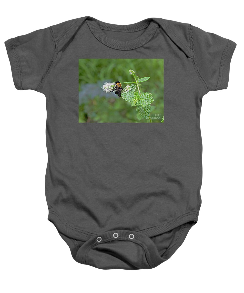 Photography Baby Onesie featuring the photograph Busy Bee by Nancy Kane Chapman