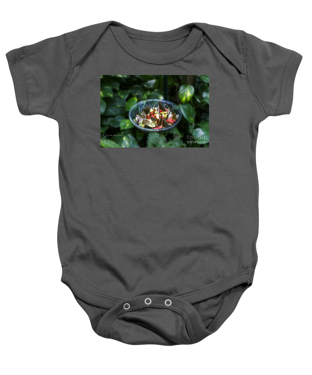 Butterfly Wonderland Baby Onesie featuring the photograph Butterflies Feeding by Richard J Thompson