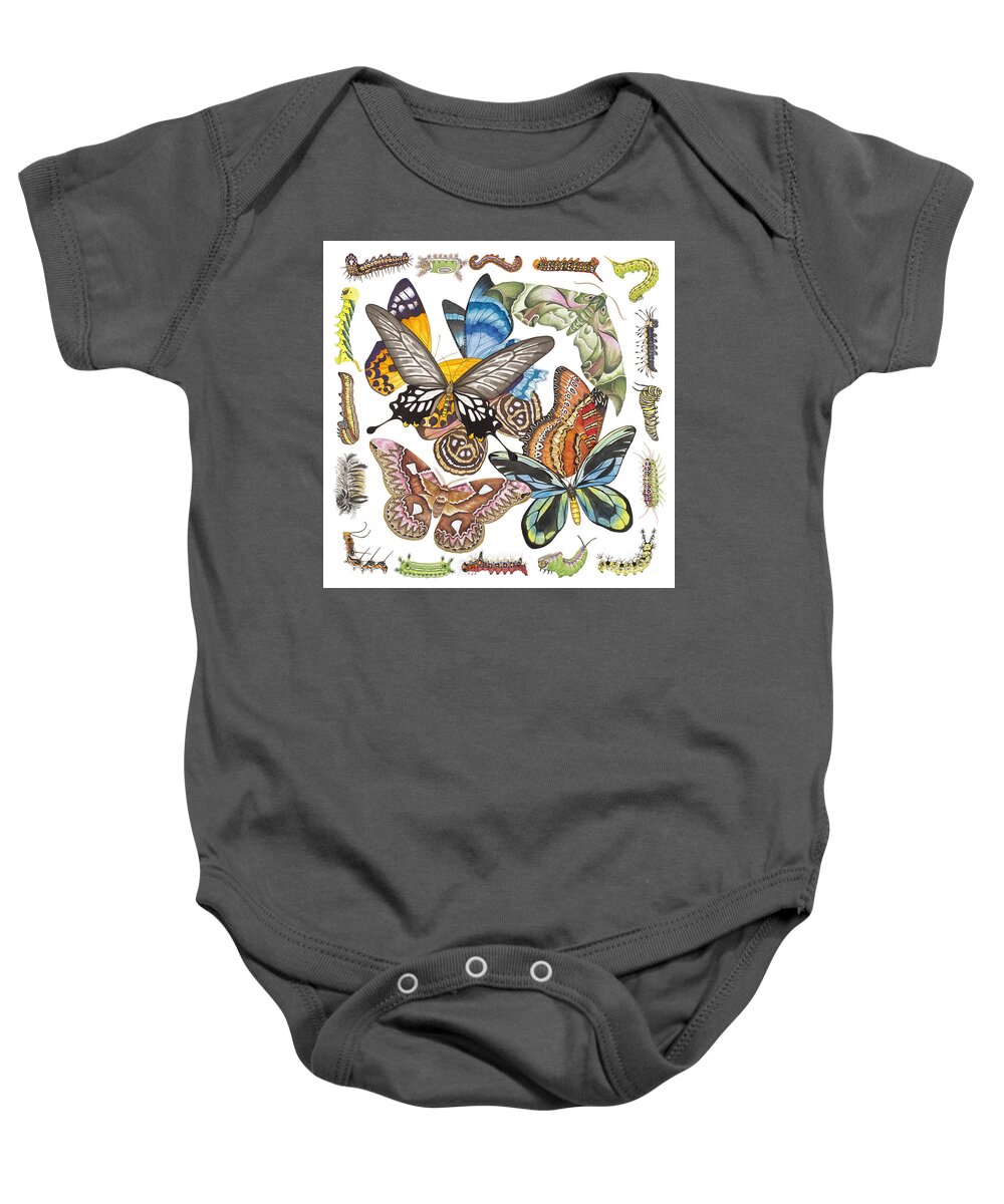 Butterflies Baby Onesie featuring the painting Butterflies Moths Caterpillars by Lucy Arnold