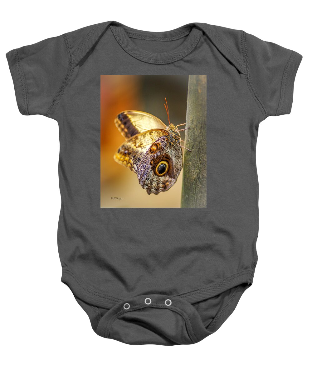 Butterfly Baby Onesie featuring the photograph Butterfly 02 by Will Wagner