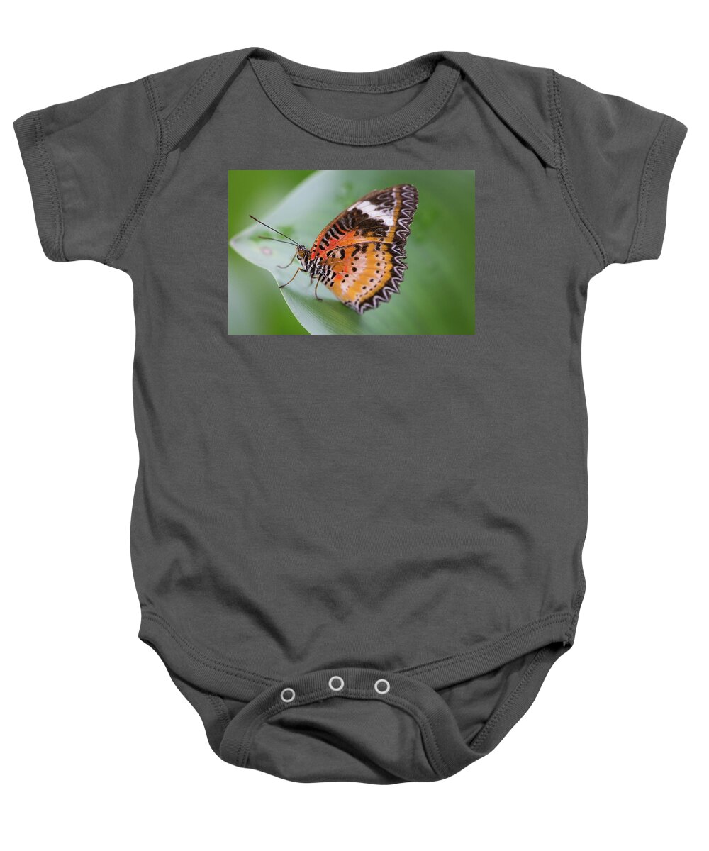 Animal Baby Onesie featuring the photograph Butterfly on the Edge of Leaf by John Wadleigh