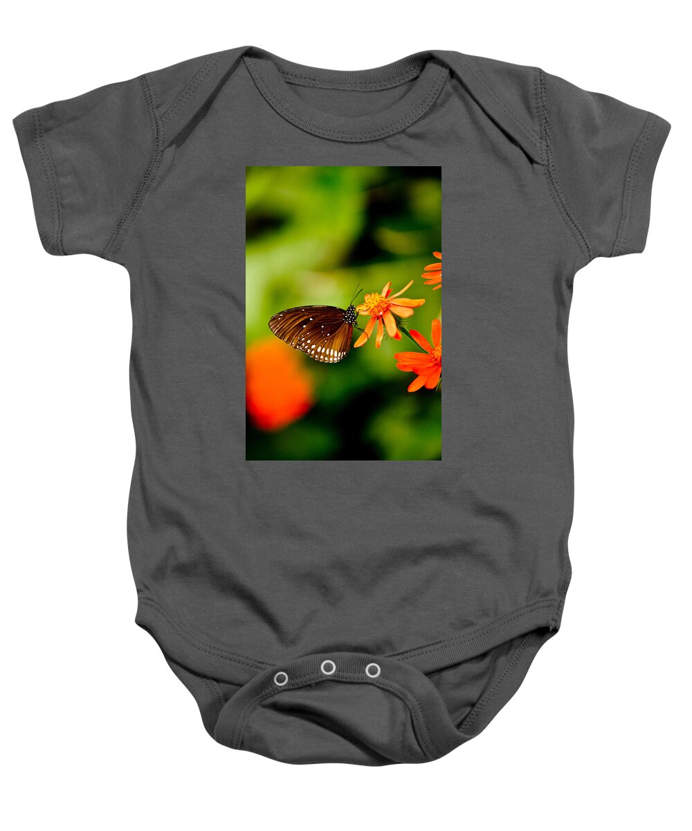 Hakon Baby Onesie featuring the photograph Butterfly with Orange Flowers by Hakon Soreide