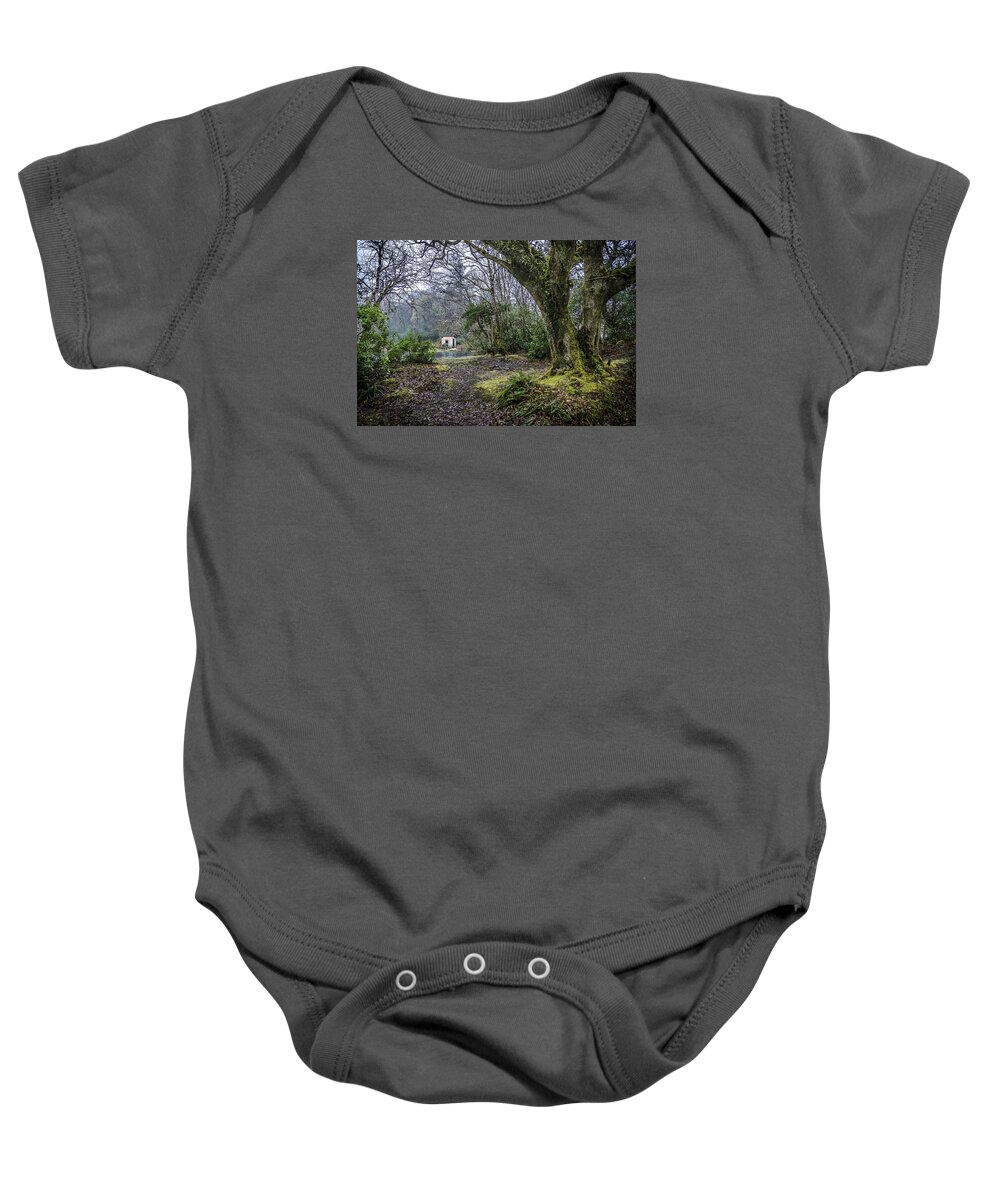 Ireland Baby Onesie featuring the photograph Cabin in the Woods by WAZgriffin Digital