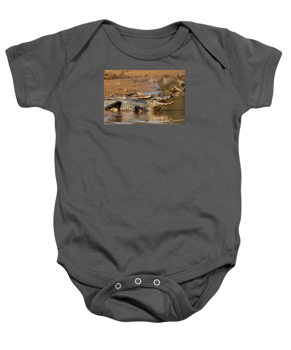Caiman Baby Onesie featuring the photograph Caiman with Open Mouth by Aivar Mikko
