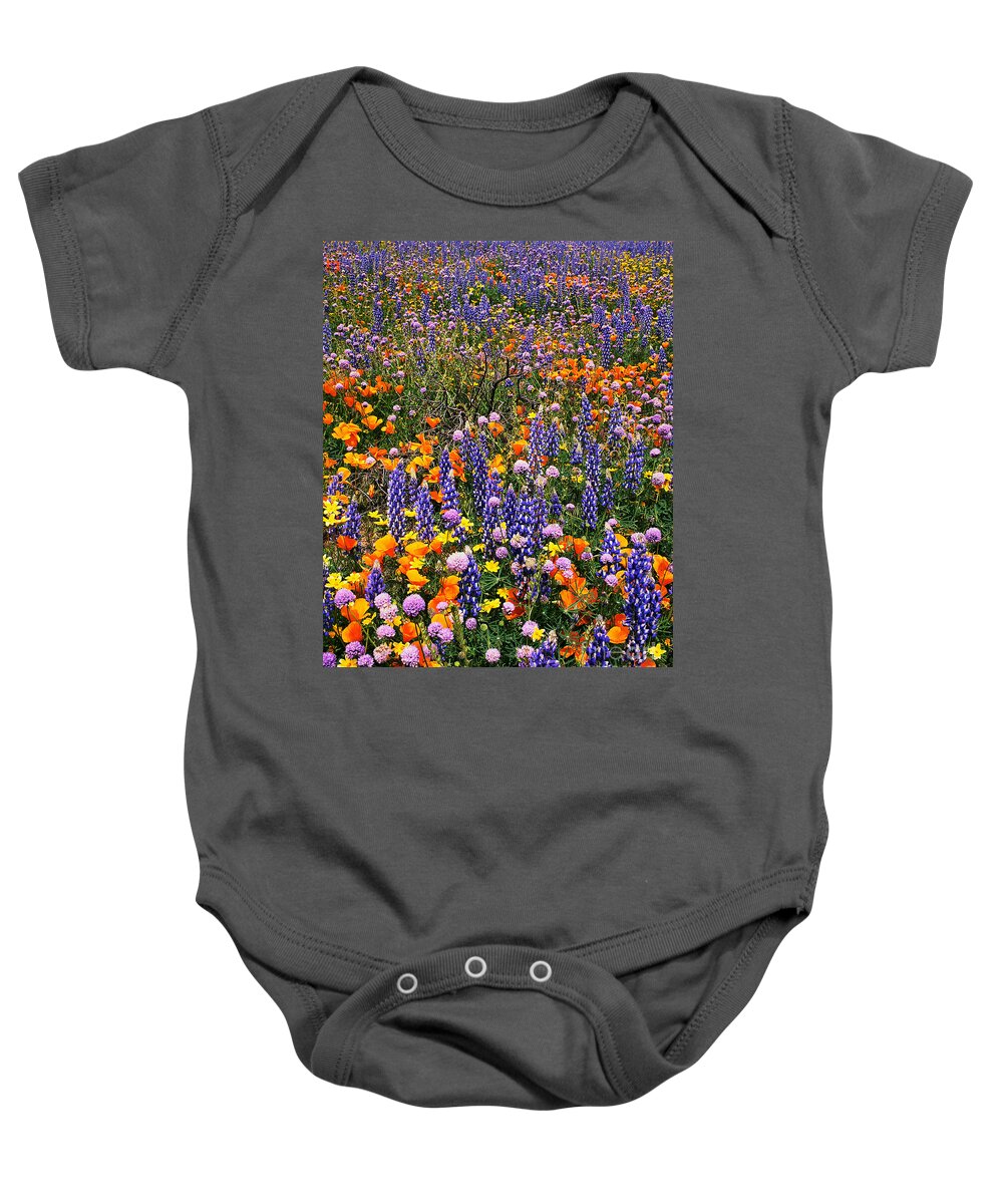 Dave Welling Baby Onesie featuring the photograph California Poppies And Bentham Lupines In California by Dave Welling