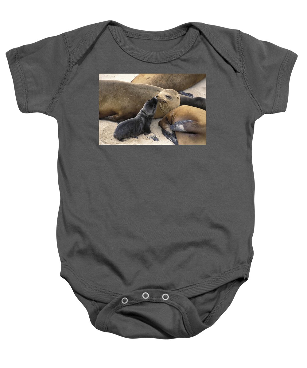 00761080 Baby Onesie featuring the photograph California Sea Lion And Newborn Pup San by Suzi Eszterhas