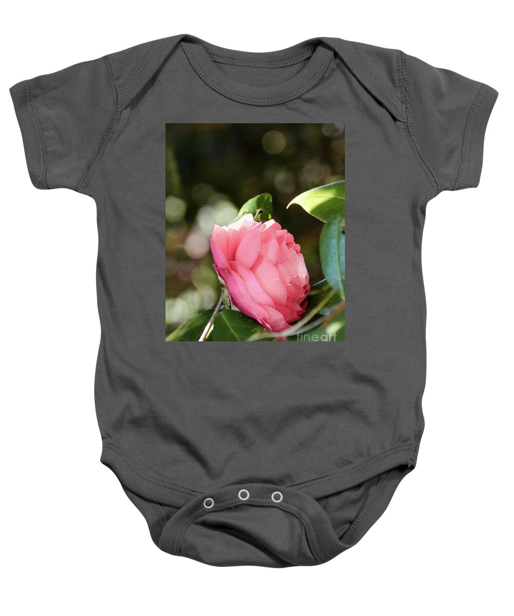 Closeup Baby Onesie featuring the photograph Camellia 4 by Andrea Anderegg