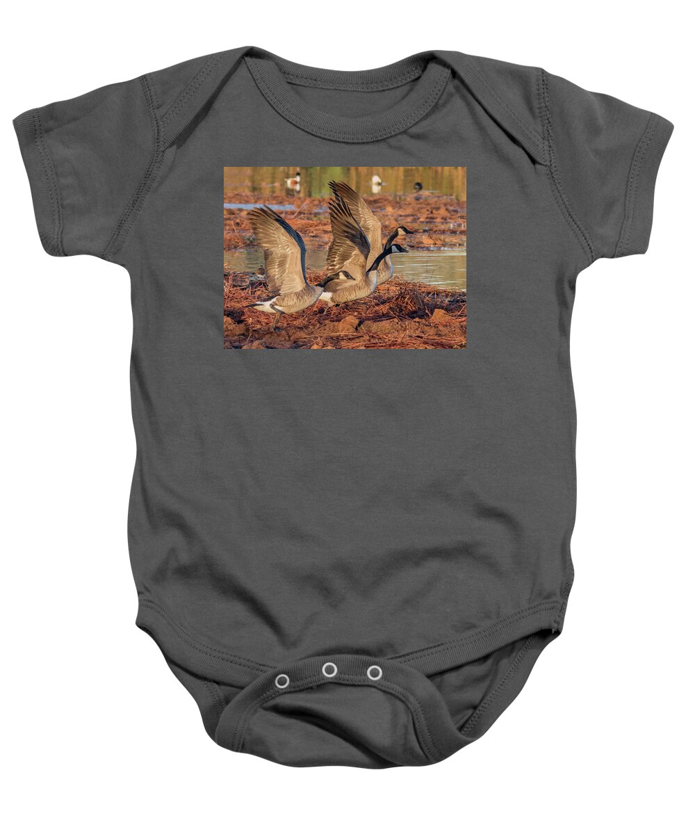 Canada Baby Onesie featuring the photograph Canada Geese 1698-011918-2cr by Tam Ryan