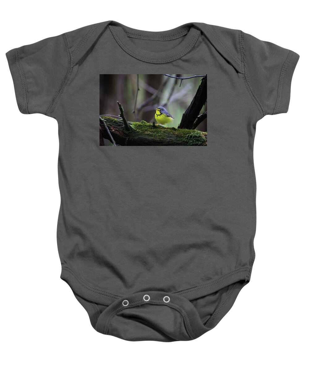 Necklace Baby Onesie featuring the photograph Canada Warbler by Gary Hall