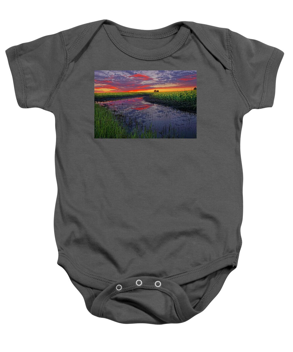 Canola Baby Onesie featuring the photograph Canola at Dawn by Dan Jurak