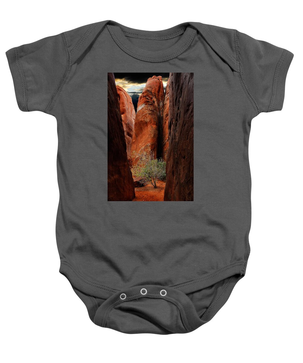 Tree Baby Onesie featuring the photograph Canyon Tree by Harry Spitz