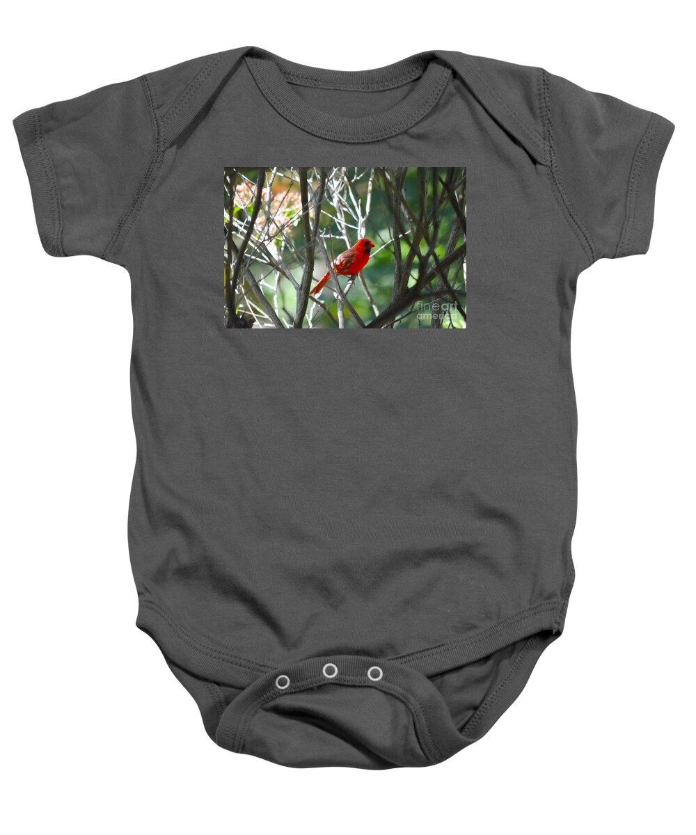 Birds Baby Onesie featuring the photograph Cardinal by Dani McEvoy