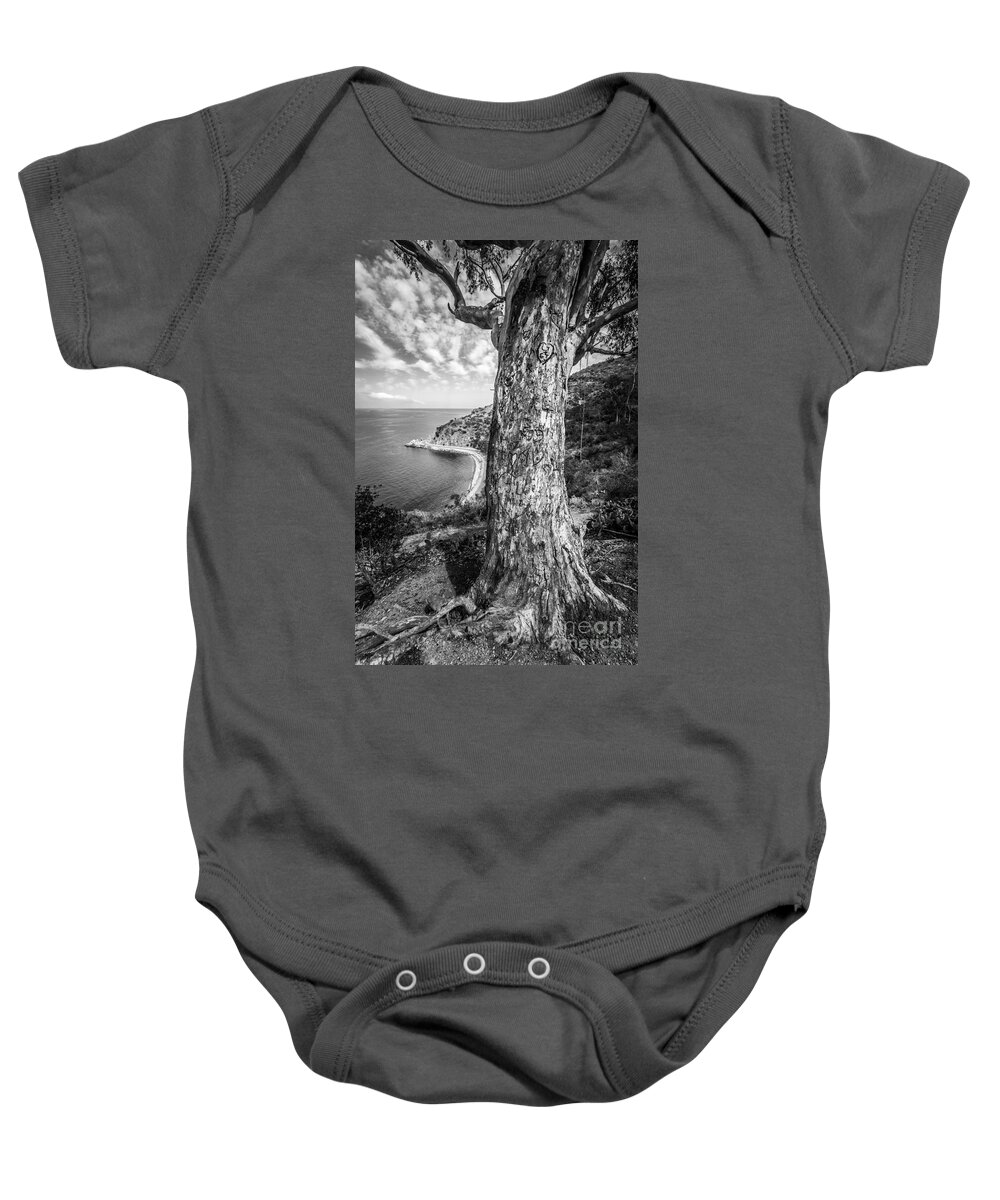 America Baby Onesie featuring the photograph Catalina Island Lover's Cove Tree in Black and White by Paul Velgos