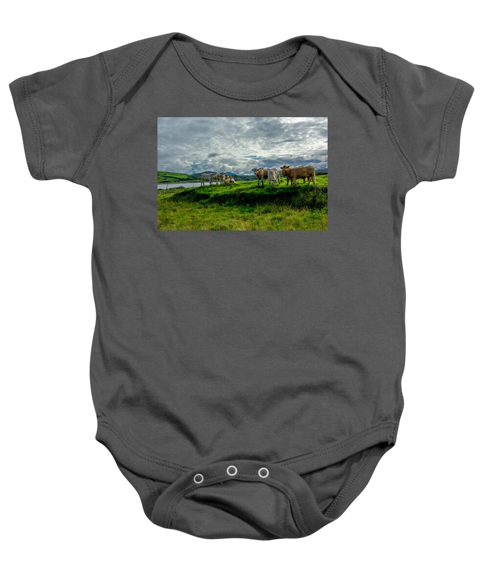 Ireland Baby Onesie featuring the photograph Cattle On Pasture In Ireland by Andreas Berthold