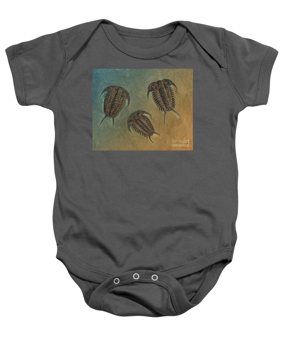 Trilobite Baby Onesie featuring the photograph Ceraurus and Leviceraurus by Melissa A Benson