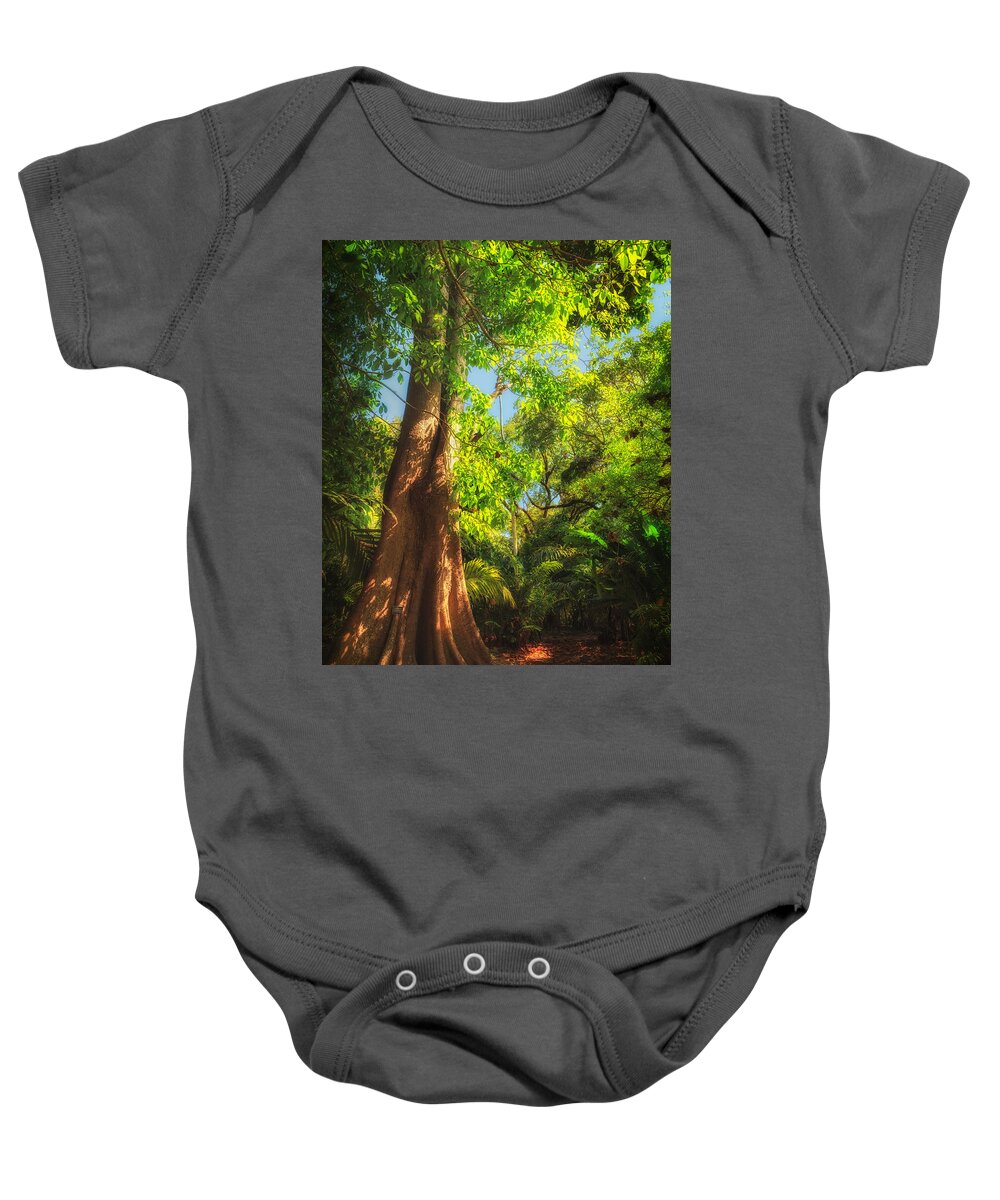 Davie Baby Onesie featuring the photograph Champion Tree by Sylvia J Zarco