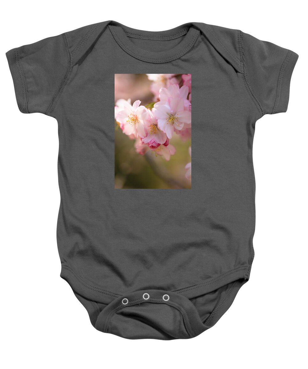 Illinois Baby Onesie featuring the photograph Cherry Blossoms in Spring by Joni Eskridge