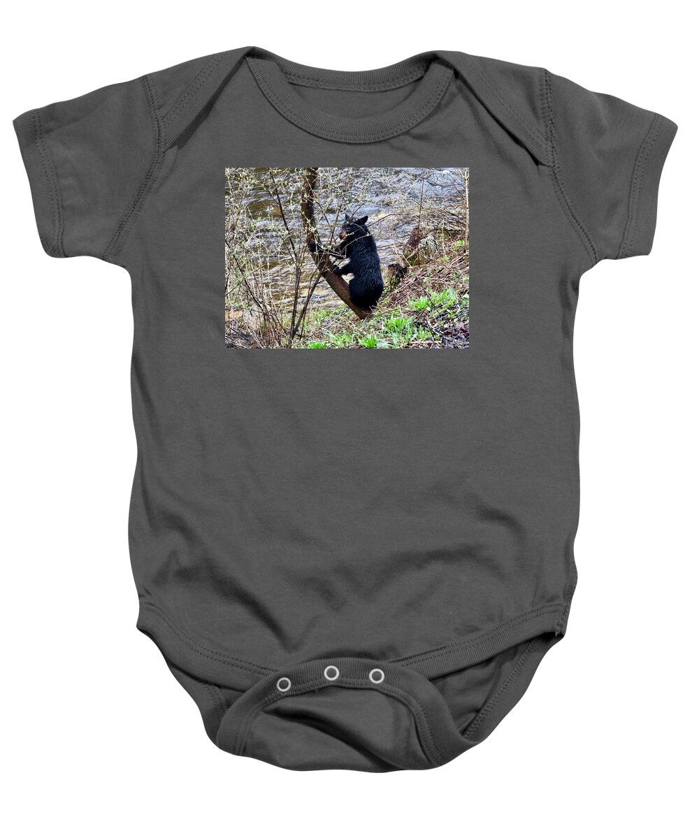 Bear Baby Onesie featuring the photograph Cherry River Black Bear by Chris Berrier