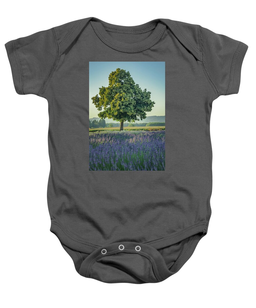 Countryside Baby Onesie featuring the photograph Chestnut in Lavender by Don Schwartz