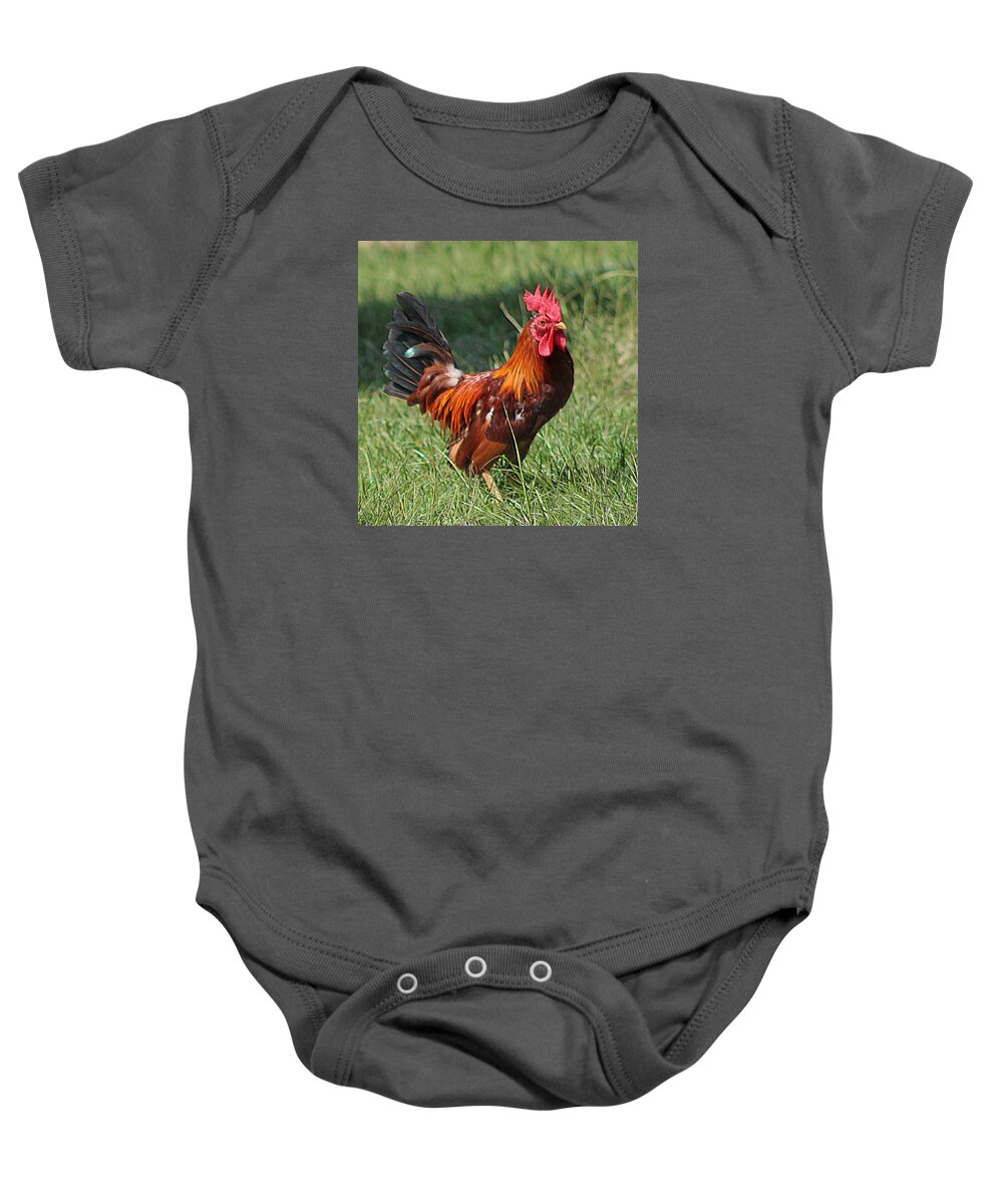 Animals Baby Onesie featuring the photograph Chickens Beware - The Boss Is Here by DB Hayes