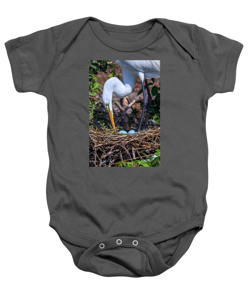 Florida Baby Onesie featuring the photograph Cleaning House by Paul Schultz