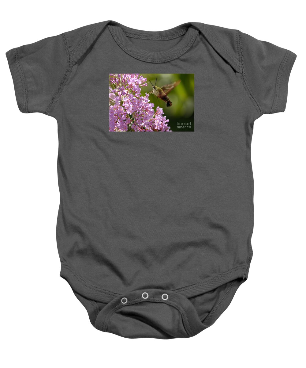 Hummingbird Clearwing Baby Onesie featuring the photograph Clearwing Pink by Randy Bodkins