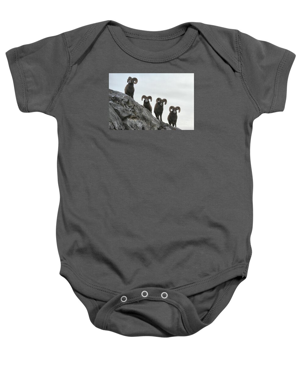 Bighorn Sheep Baby Onesie featuring the photograph Cliff Walkers by Adam Jewell