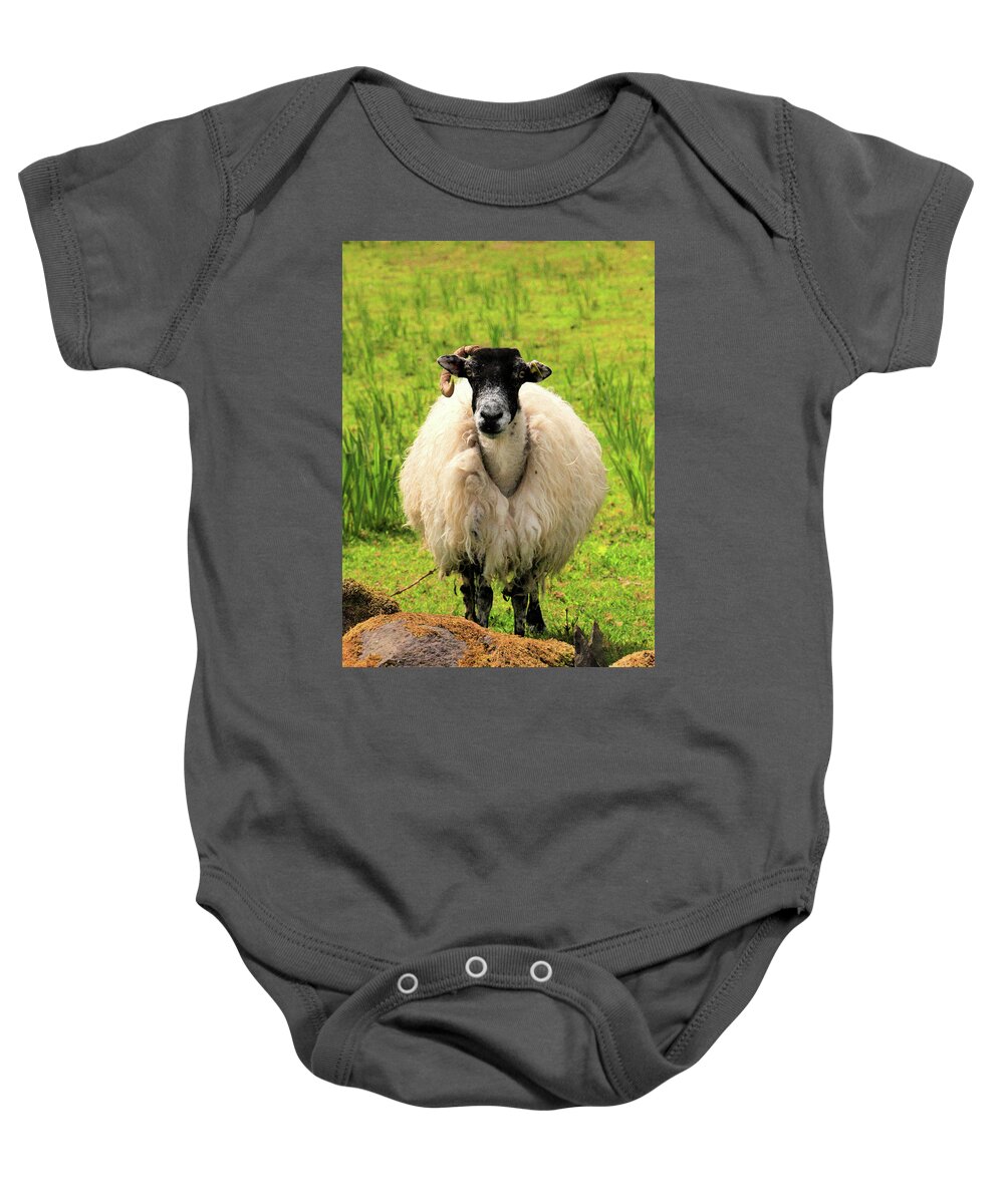 Sheep Baby Onesie featuring the photograph Cloghane Baaadass by Mark Callanan