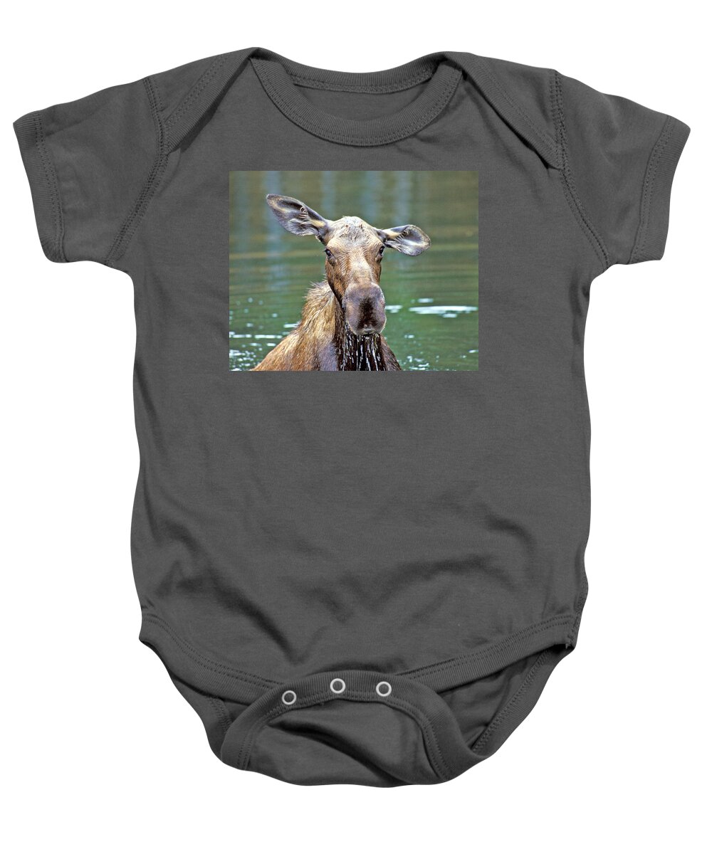 Moose Baby Onesie featuring the photograph Close Wet Moose by Gary Beeler