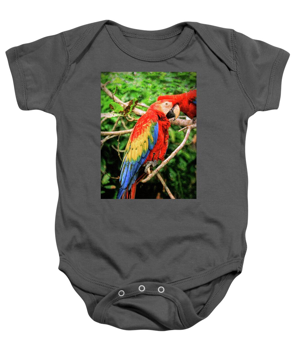 Macaw Baby Onesie featuring the photograph Colorful Macaw by Roy Pedersen